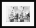 Aphrodite Callipygos and Other Statues in the Museo Archeologico Nazionale in Naples, Italy by Anonymous