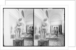 Aphrodite Callipygos and Other Statues in the Museo Archeologico Nazionale in Naples, Italy by Anonymous