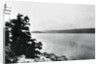 Alleged Image of Loch Ness Monster by Anonymous