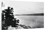 Alleged Image of Loch Ness Monster by Anonymous