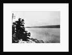 Alleged Image of Loch Ness Monster by Anonymous