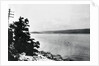 Alleged Image of Loch Ness Monster by Anonymous
