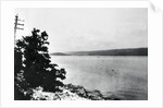 Alleged Image of Loch Ness Monster by Anonymous