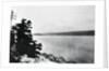 Alleged Image of Loch Ness Monster by Anonymous