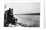 Alleged Image of Loch Ness Monster by Anonymous