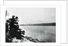 Alleged Image of Loch Ness Monster by Anonymous