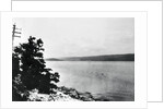 Alleged Image of Loch Ness Monster by Anonymous