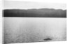 Supposed Sighting of the Loch Ness Monster by Anonymous