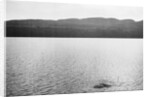 Supposed Sighting of the Loch Ness Monster by Anonymous