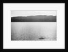 Supposed Sighting of the Loch Ness Monster by Anonymous