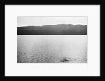 Supposed Sighting of the Loch Ness Monster by Anonymous