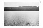 Supposed Sighting of the Loch Ness Monster by Anonymous