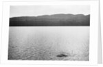 Supposed Sighting of the Loch Ness Monster by Anonymous