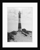 The Fire Island Lighthouse by Anonymous