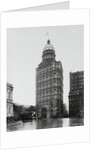 Pulitzer Building by Anonymous