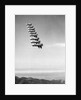 Airplanes Flying in Order by Anonymous