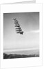 Airplanes Flying in Order by Anonymous