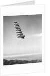 Airplanes Flying in Order by Anonymous