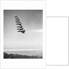 Airplanes Flying in Order by Anonymous