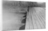Photographic Evidence Used in Lindbergh Kidnapping Trial by Anonymous