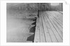 Photographic Evidence Used in Lindbergh Kidnapping Trial by Anonymous