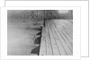 Photographic Evidence Used in Lindbergh Kidnapping Trial by Anonymous