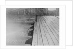 Photographic Evidence Used in Lindbergh Kidnapping Trial by Anonymous
