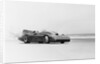View of Racecar in Motion by Anonymous