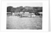 Angel Island by Anonymous