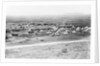 Spanish Forces at Tetuan by Anonymous