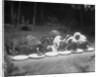 Puppies Eating Food by Anonymous