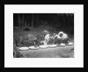 Puppies Eating Food by Anonymous