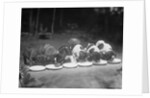 Puppies Eating Food by Anonymous