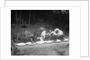 Puppies Eating Food by Anonymous