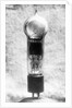 View of Early Light Bulb by Anonymous