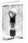 View of Early Light Bulb by Anonymous