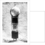 View of Early Light Bulb by Anonymous