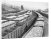 Train Cars Holding Coal Supplies by Anonymous