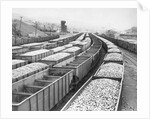 Train Cars Holding Coal Supplies by Anonymous