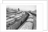 Train Cars Holding Coal Supplies by Anonymous