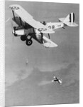 Man Jumping from Airplane by Anonymous