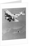Man Jumping from Airplane by Anonymous