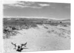 Drought Scene with Bleached Skull by Anonymous