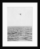 Plane Looking for Submarines by Anonymous