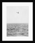 Plane Looking for Submarines by Anonymous