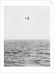 Plane Looking for Submarines by Anonymous