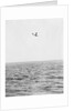 Plane Looking for Submarines by Anonymous