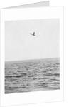 Plane Looking for Submarines by Anonymous