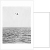 Plane Looking for Submarines by Anonymous