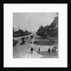 Famous Bois De Boulogne by Anonymous